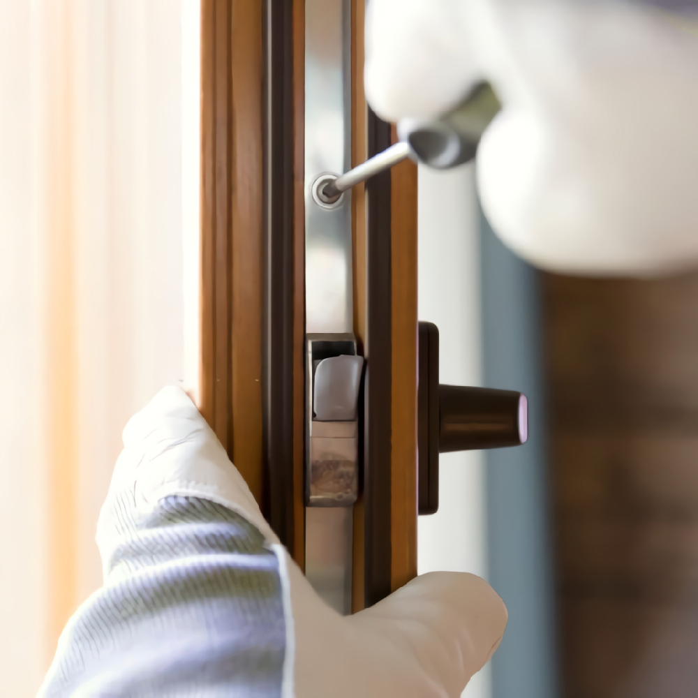 نمونه کارها