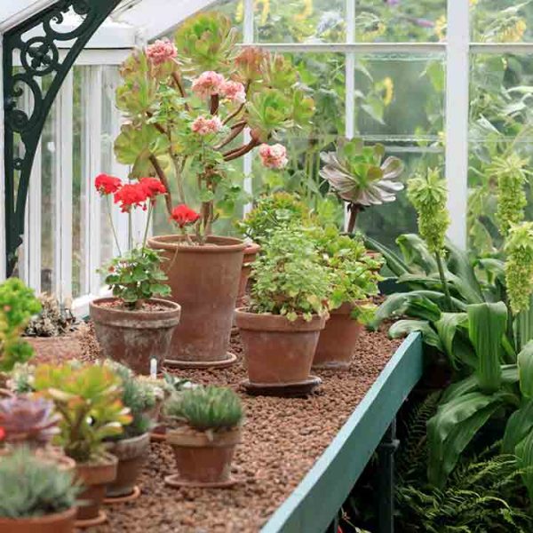 گلخانه-یو-پی-وی-سی-UPVC-تبریز