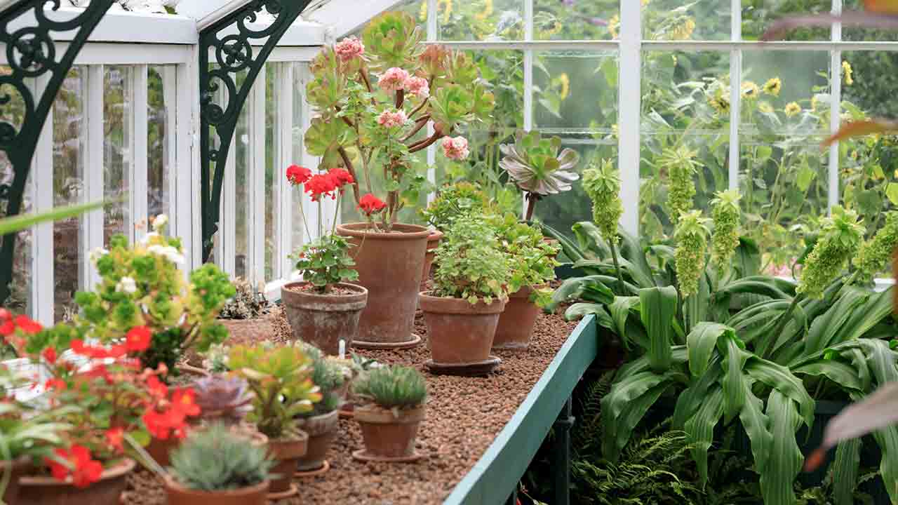 گلخانه-یو-پی-وی-سی-UPVC-تبریز